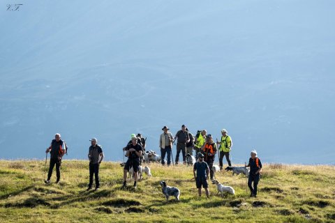 Trofeo delle Alpi - San Bernardino 13.08.2025