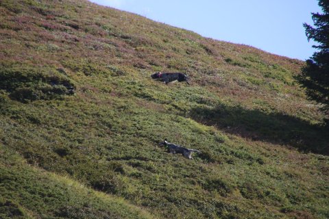 IMG_8298