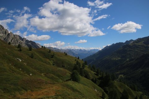 IMG_8365