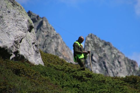 IMG_8372