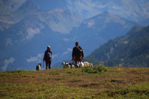 IMG_8379