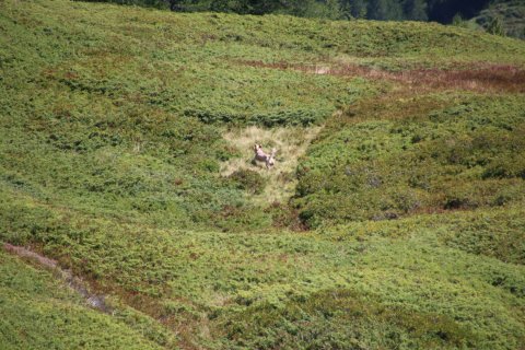 IMG_8427
