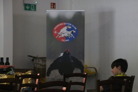 IMG_8468
