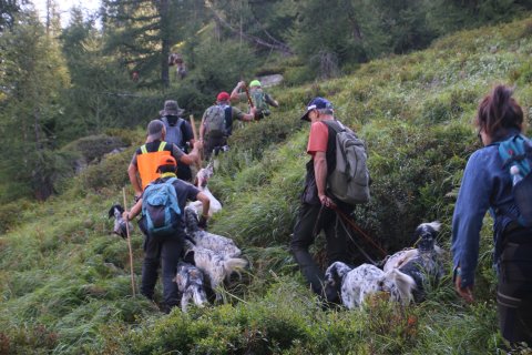 bedretto_150826-15