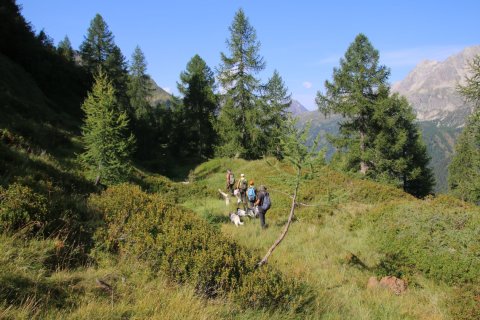 bedretto_150826-40