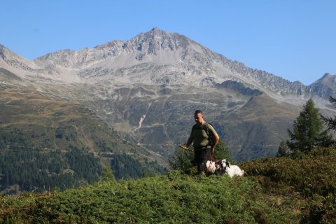 bedretto_150826-42