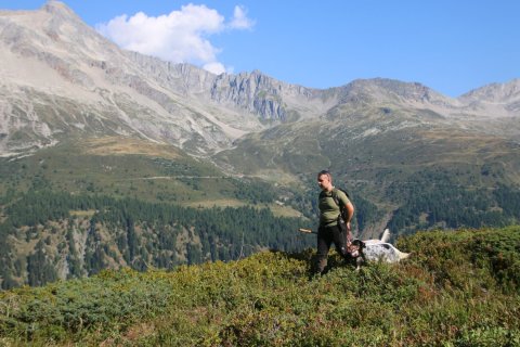 bedretto_150826-44