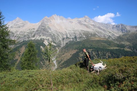 bedretto_150826-45
