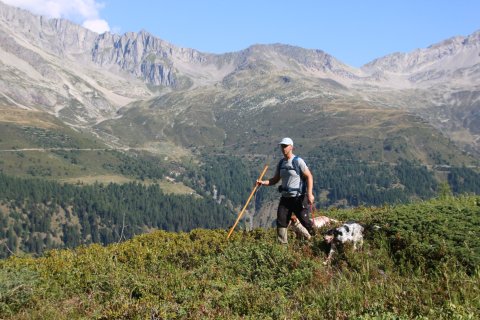 bedretto_150826-48