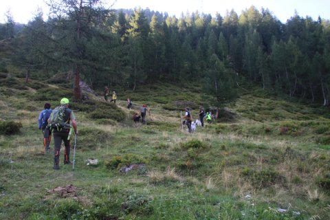 bedretto_150826-5