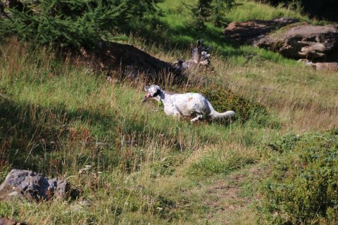 bedretto_150826-61