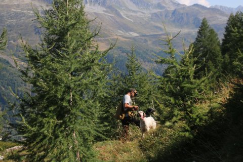bedretto_150826-67