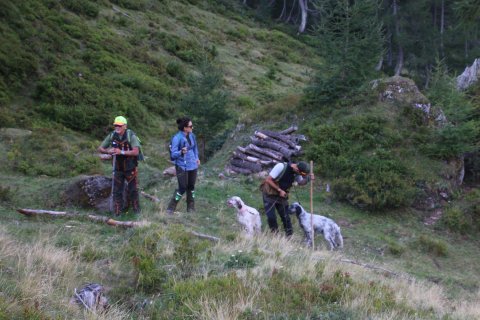 bedretto_150826-9