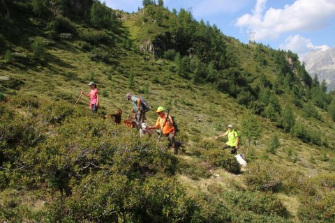 bedretto_160826-109