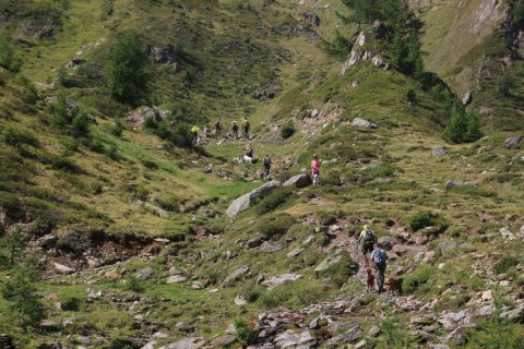bedretto_160826-122