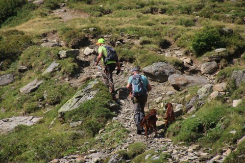 bedretto_160826-123