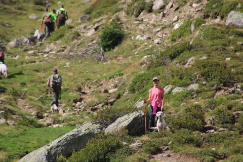 bedretto_160826-126