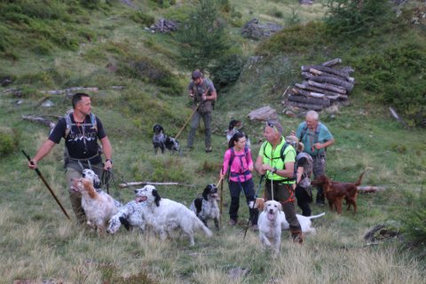 bedretto_160826-15