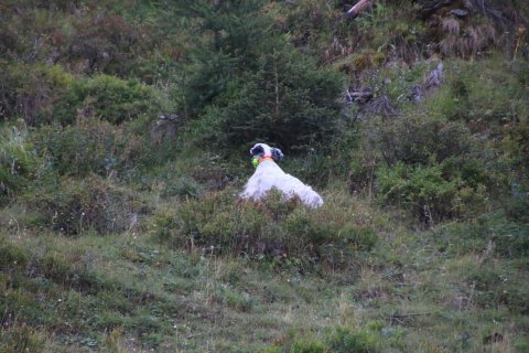 bedretto_160826-21