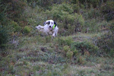 bedretto_160826-26