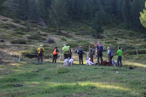 bedretto_160826-3