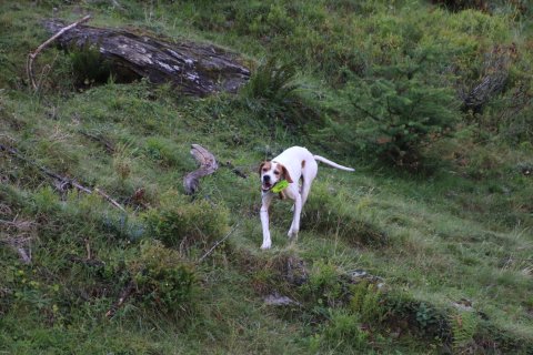 bedretto_160826-32