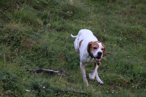 bedretto_160826-34
