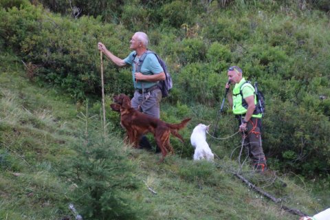 bedretto_160826-36