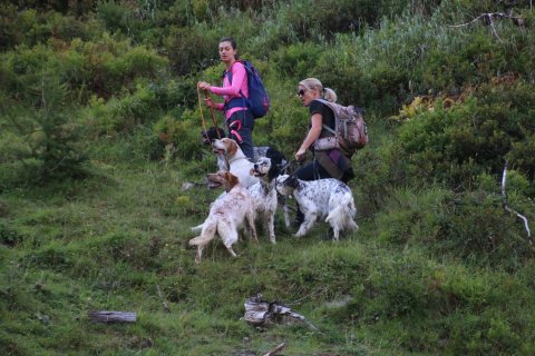 bedretto_160826-38