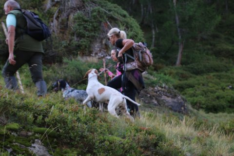 bedretto_160826-6