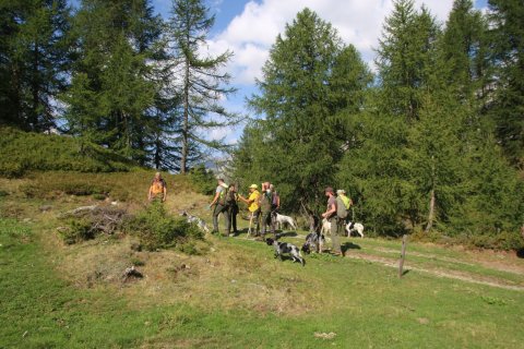 bedretto_160826-66