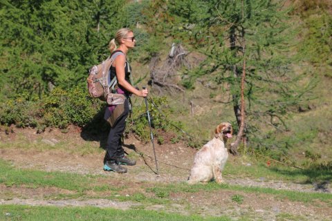 bedretto_160826-67