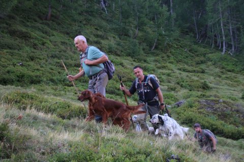 bedretto_160826-7