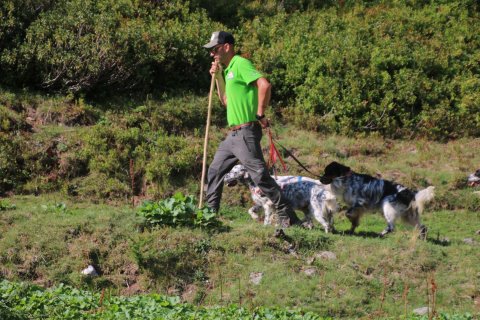 bedretto_160826-73