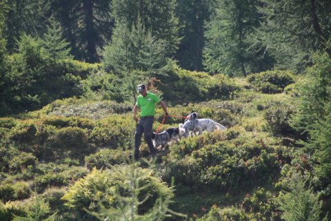bedretto_160826-85