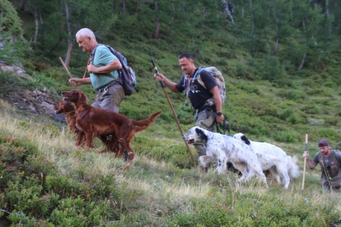 bedretto_160826-9