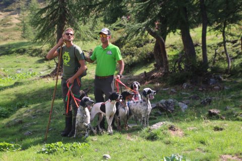 bedretto_160826-91