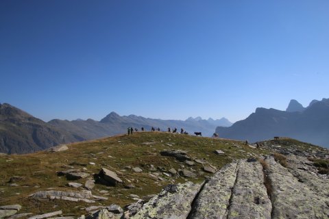 sBernardino_13082026-126