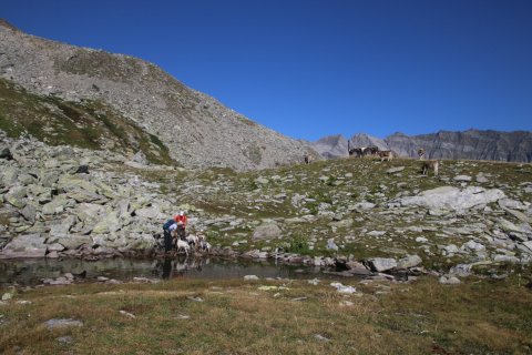 sBernardino_13082026-133