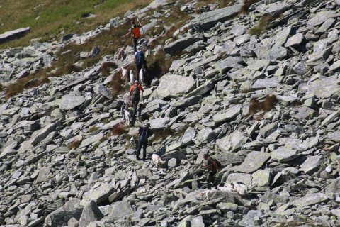 sBernardino_13082026-162