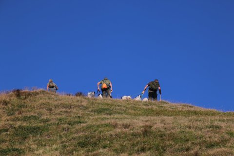 sBernardino_13082026-49