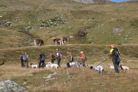 sBernardino_13082026-54
