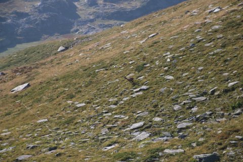 sBernardino_13082026-59
