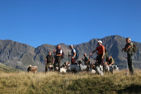 sBernardino_13082026-65