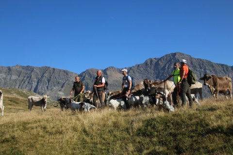 sBernardino_13082026-81