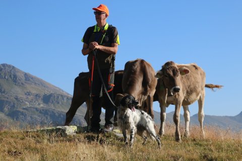 sBernardino_13082026-82