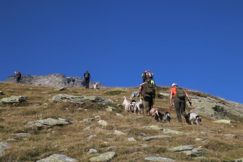 sBernardino_13082026-88