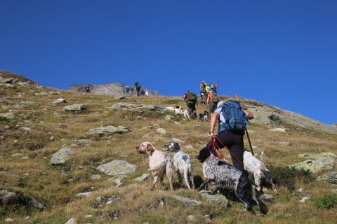 sBernardino_13082026-89