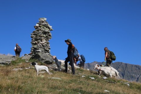 sBernardino_13082026-90