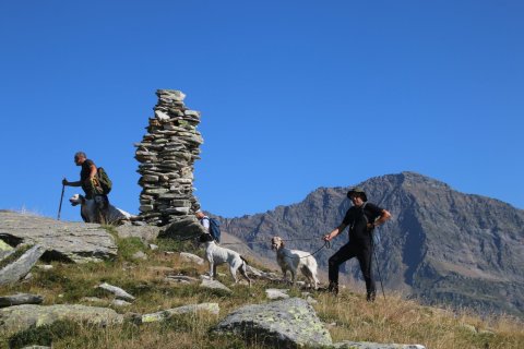 sBernardino_13082026-91